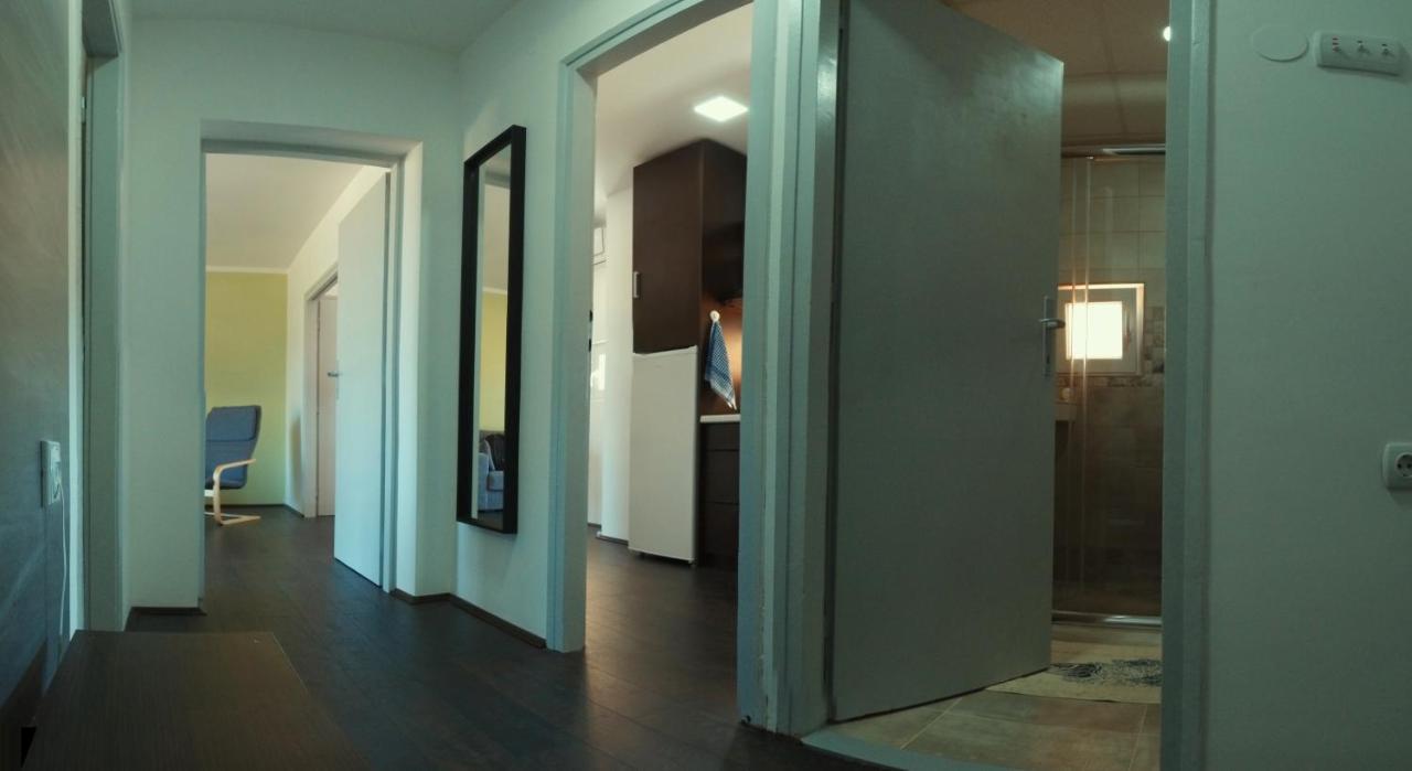 Apartman Terassa Donji Milanovac Buitenkant foto