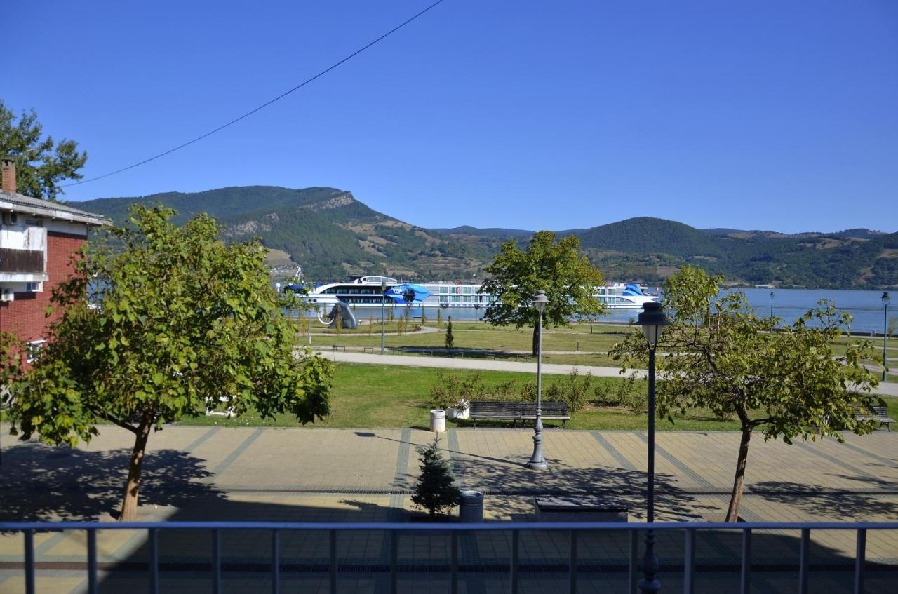 Apartman Terassa Donji Milanovac Buitenkant foto