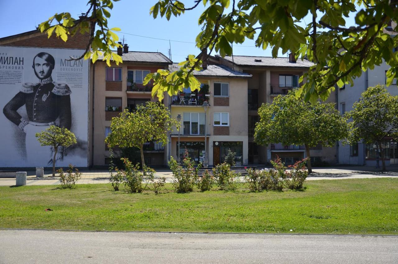 Apartman Terassa Donji Milanovac Buitenkant foto