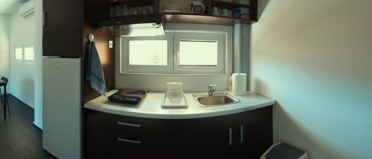 Apartman Terassa Donji Milanovac Buitenkant foto