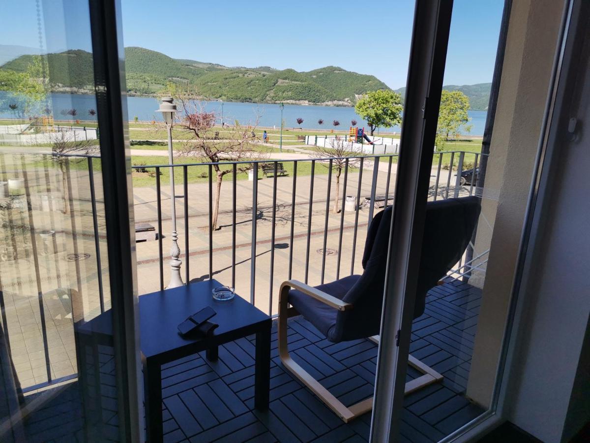 Apartman Terassa Donji Milanovac Buitenkant foto