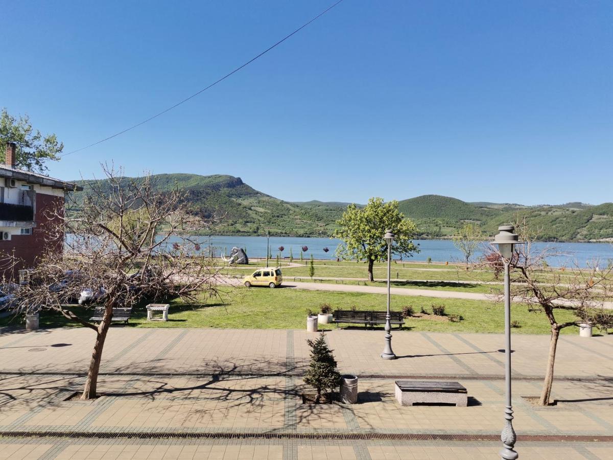 Apartman Terassa Donji Milanovac Buitenkant foto