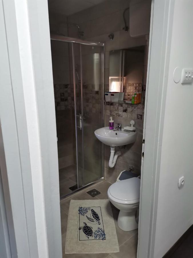Apartman Terassa Donji Milanovac Buitenkant foto