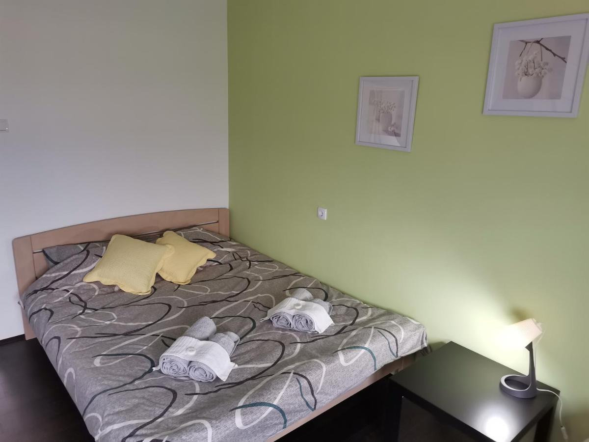 Apartman Terassa Donji Milanovac Buitenkant foto