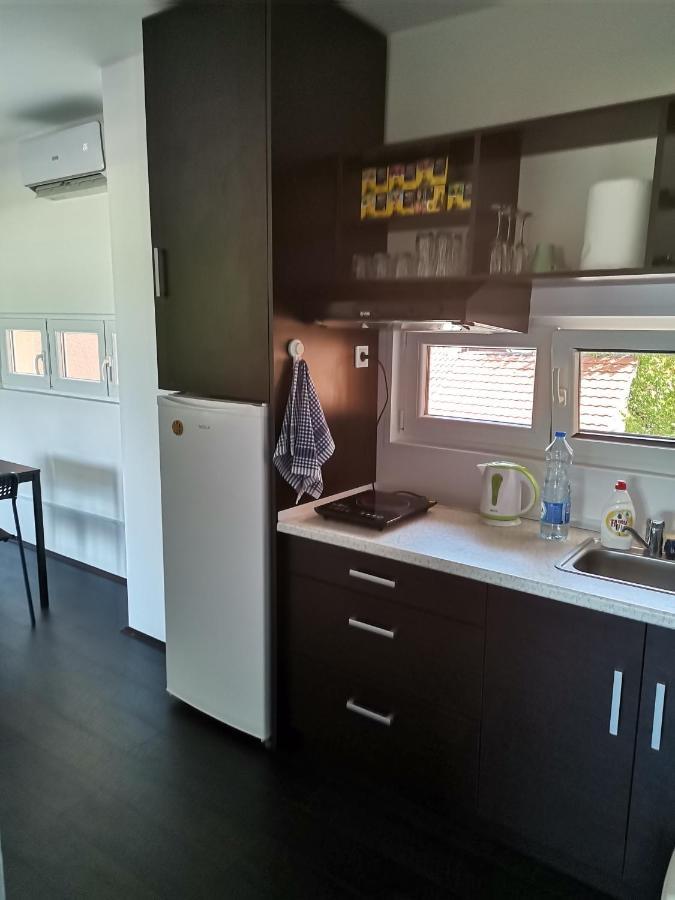 Apartman Terassa Donji Milanovac Buitenkant foto