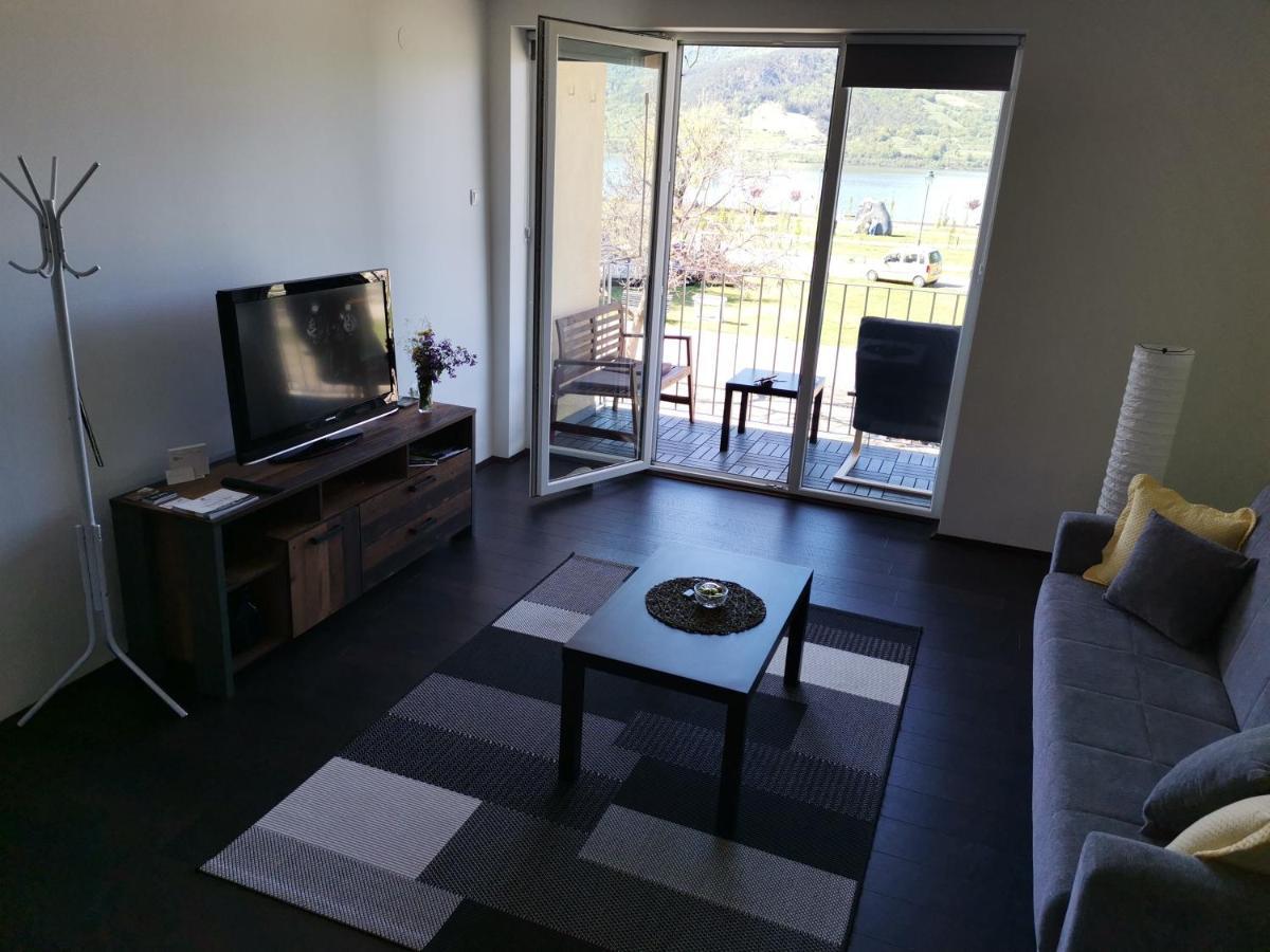 Apartman Terassa Donji Milanovac Buitenkant foto