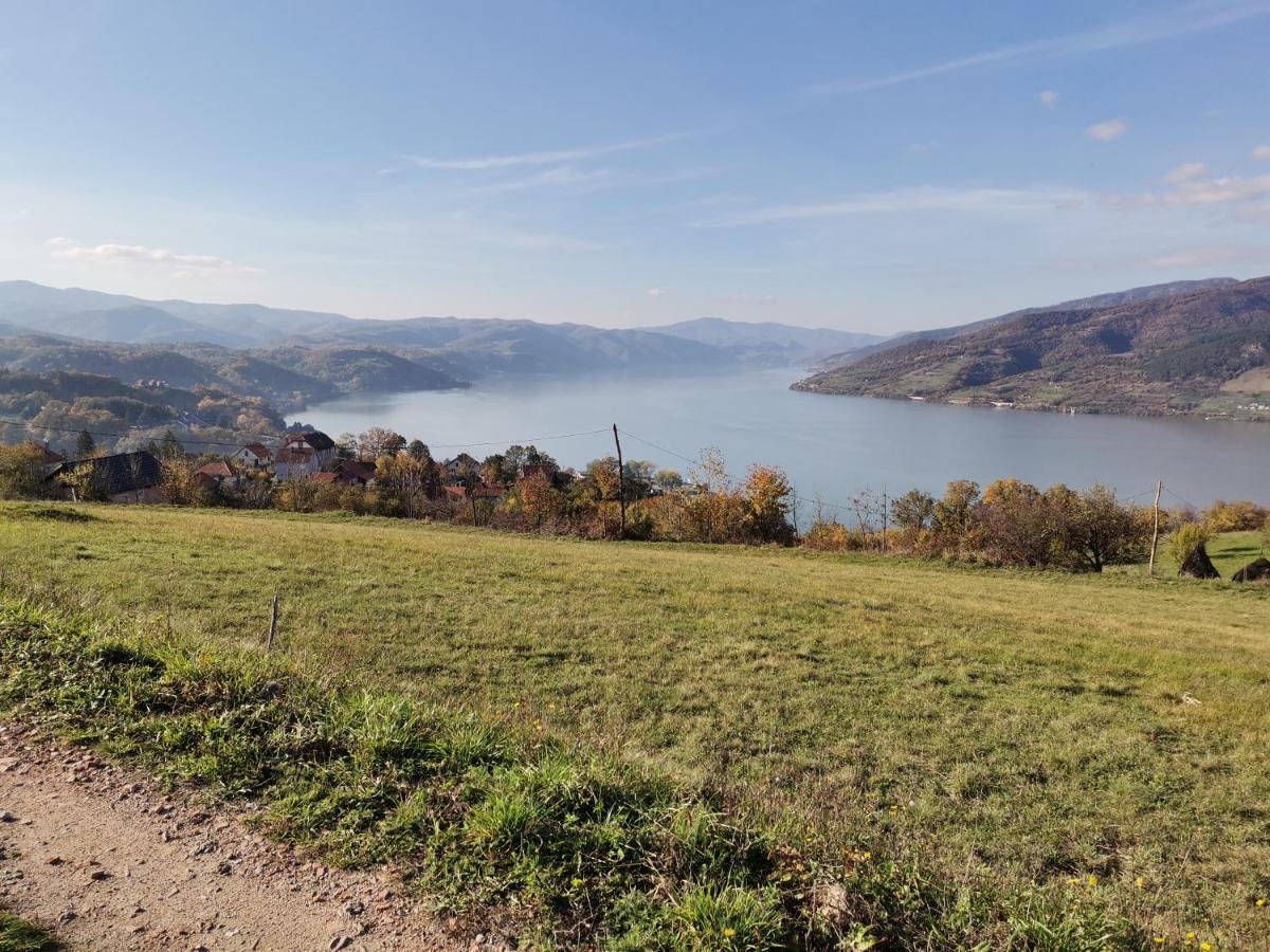Apartman Terassa Donji Milanovac Buitenkant foto