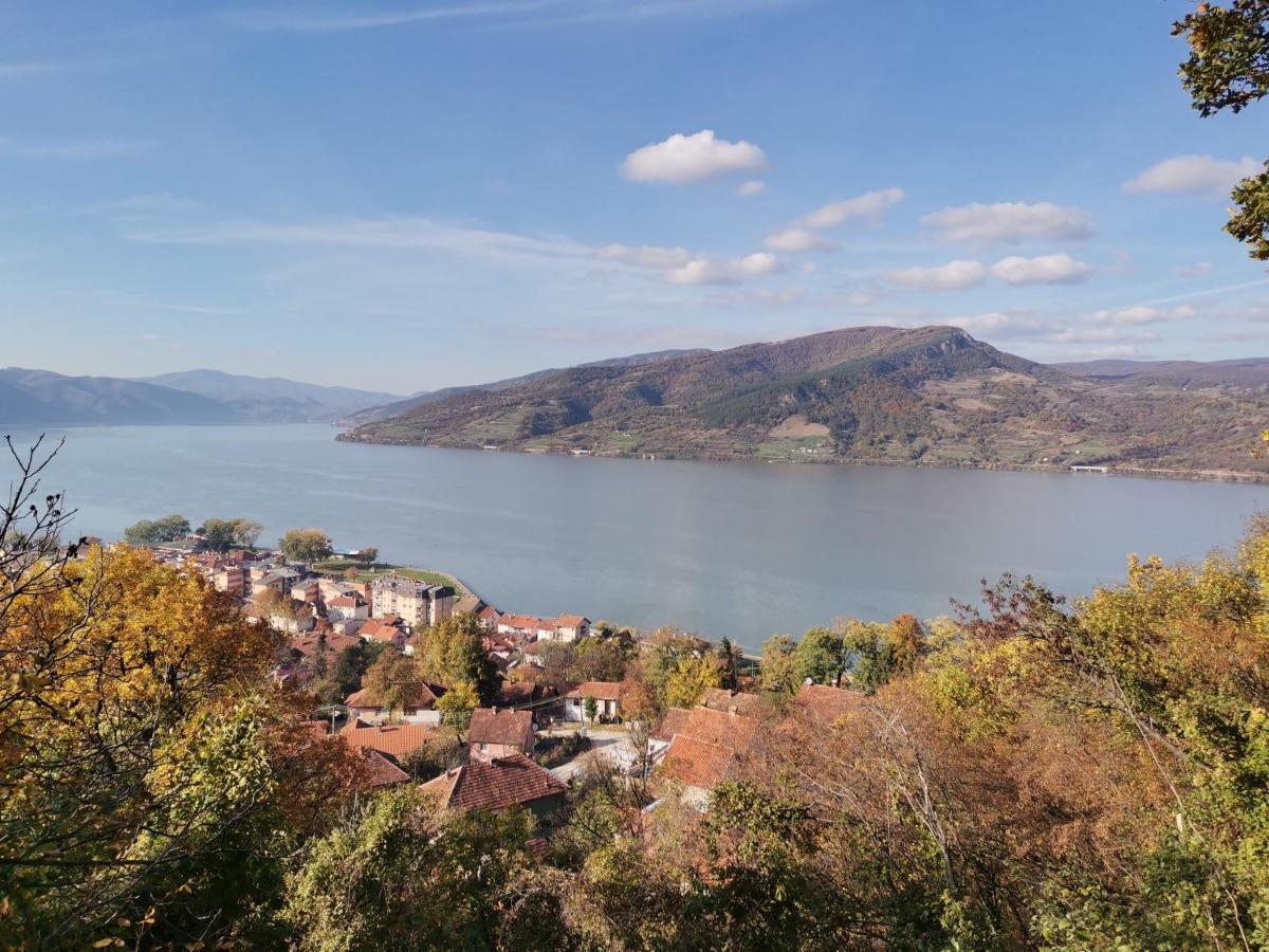 Apartman Terassa Donji Milanovac Buitenkant foto