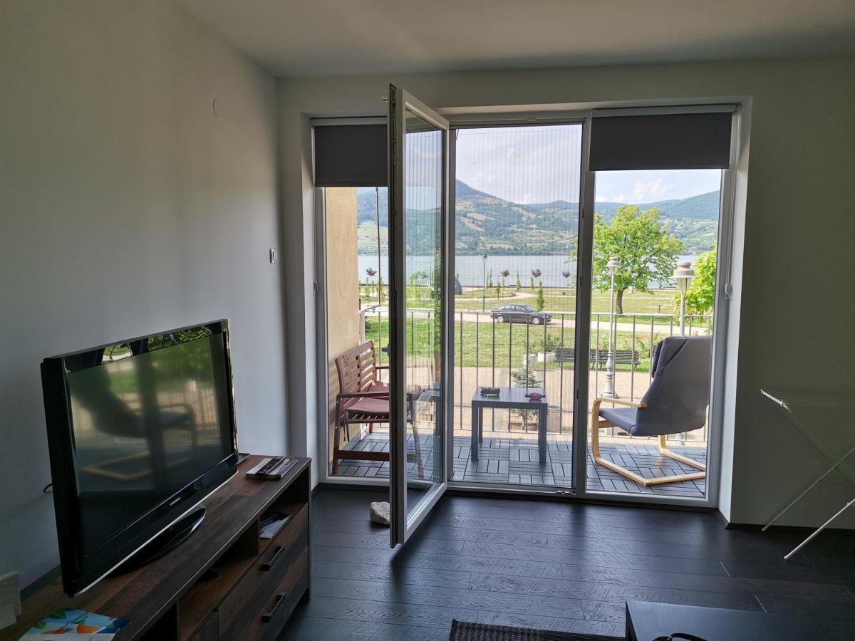 Apartman Terassa Donji Milanovac Buitenkant foto