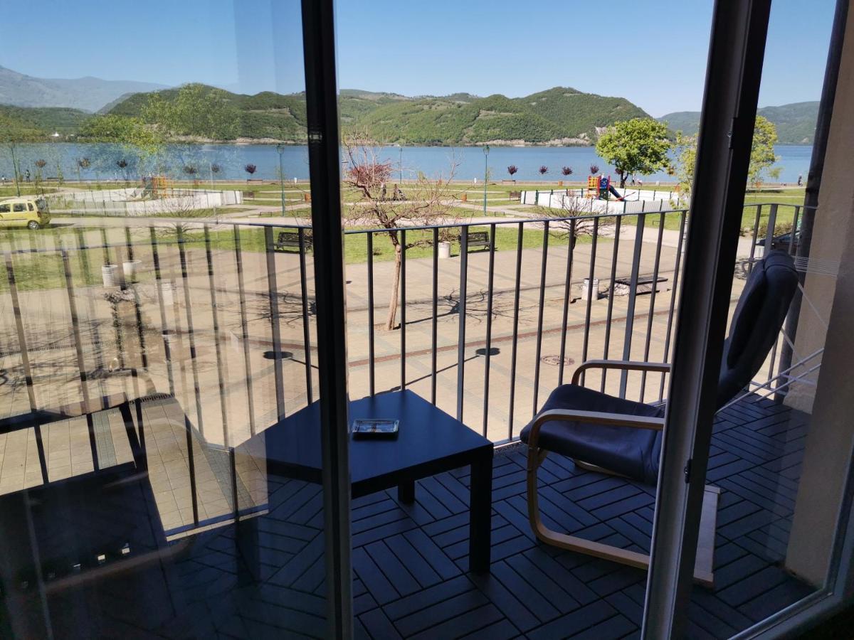 Apartman Terassa Donji Milanovac Buitenkant foto