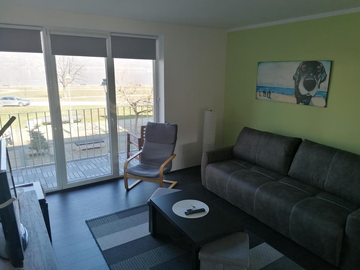 Apartman Terassa Donji Milanovac Buitenkant foto