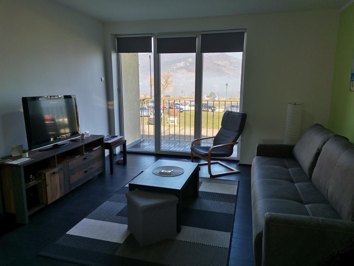 Apartman Terassa Donji Milanovac Buitenkant foto