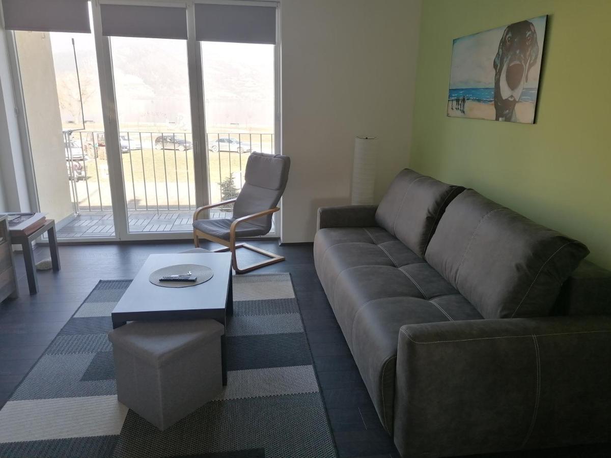 Apartman Terassa Donji Milanovac Buitenkant foto