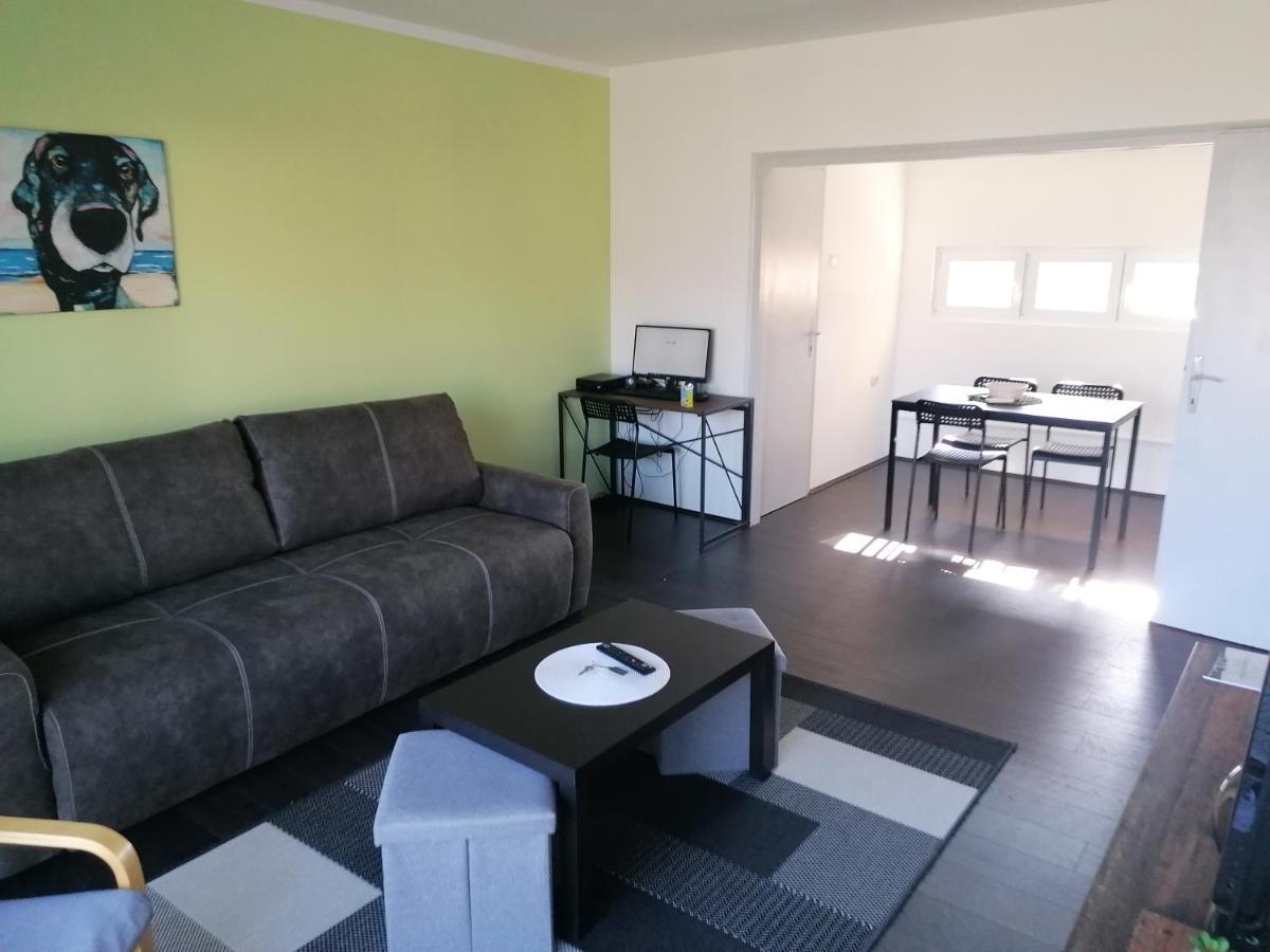 Apartman Terassa Donji Milanovac Buitenkant foto